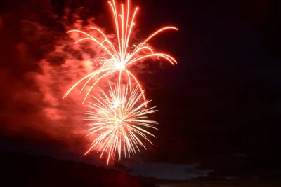 DSC_3351 (Large).JPG